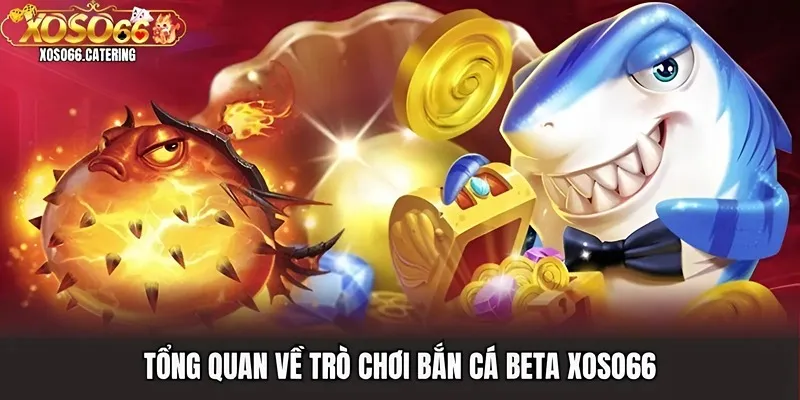 Bắn Cá Beta Xoso66 | Chớp Thời Cơ Ngay, Săn Cá Khủng Liền Tay - XOVIN