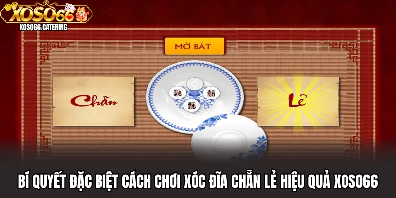 Cách Chơi Xóc Đĩa Chẵn Lẻ Cực Chuẩn Dễ Thắng Theo Xoso66 - XOVIN