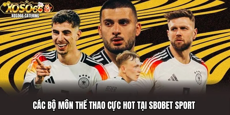 SBOBET Sport - Tham Gia Cược Hay Tại Sân Chơi Đẳng Cấp Xoso66 - XOVIN