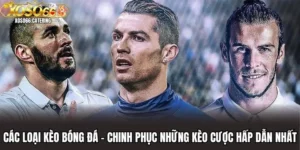 Thể Thao XOSO66 - Nhà Cái Cá Cược Thể Thao Top 01 Châu Á - XOVIN