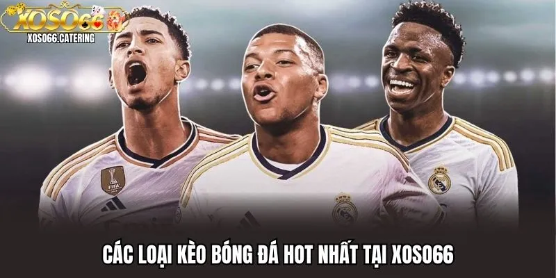 Các Loại Kèo Bóng Đá - Chinh Phục Những Kèo Cược Hấp Dẫn Nhất - XOVIN