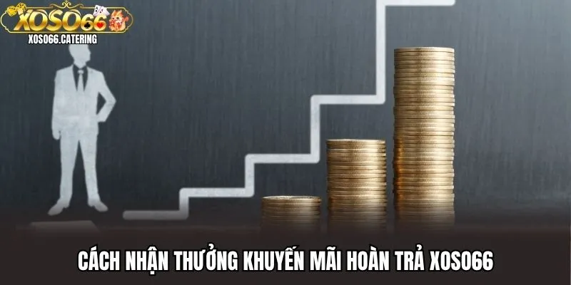Khuyến Mãi Hoàn Trả XOSO66 Lên Đến 1.2% Cho Tài Khoản VIP - XOVIN