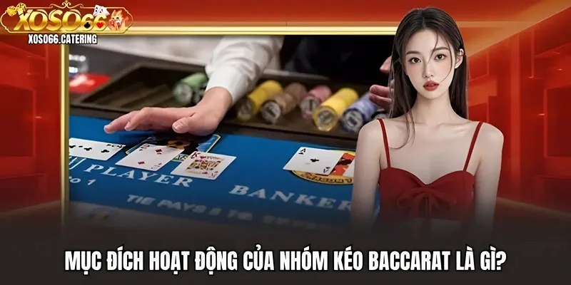 Kéo Baccarat Là Gì? Thực Hư Việc Lập Nhóm Hỗ Trợ Baccarat - XOVIN