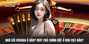 Tin Tức XOSO66 - Nơi Cập Nhật Nhanh Nhất Về Thế Giới - XOVIN
