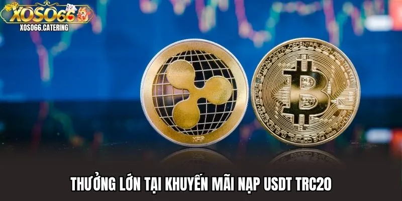 Khuyến Mãi Nạp USDT TRC20 Nhận Thưởng Lên Đến 2% Tổng Đơn - XOVIN