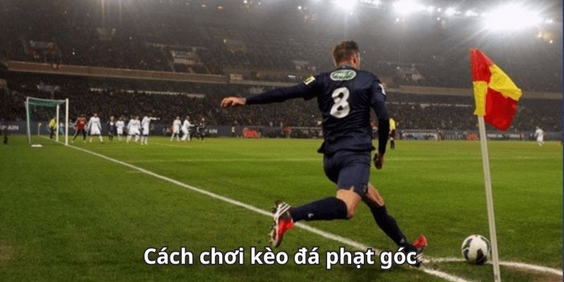 Kèo Phạt Góc – Bí Quyết Cá Cược Bóng Đá Hấp Dẫn Nhất - XOVIN