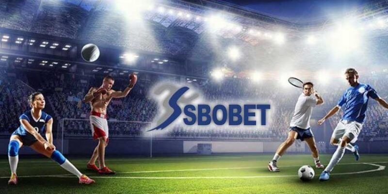 SBO Sports 88BET – Đỉnh Cao Cá Cược Thể Thao Với Thưởng Hấp Dẫn - XOVIN