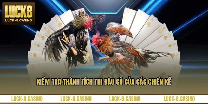 Đá Gà Peru - Đấu Trường Kịch Tính Của Các Chiến Kê - XOVIN Đá Gà Peru - Đấu Trường Kịch Tính Của Các Chiến Kê - XOVIN