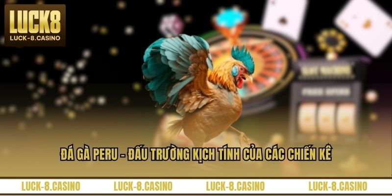 Đá Gà Peru - Đấu Trường Kịch Tính Của Các Chiến Kê - XOVIN