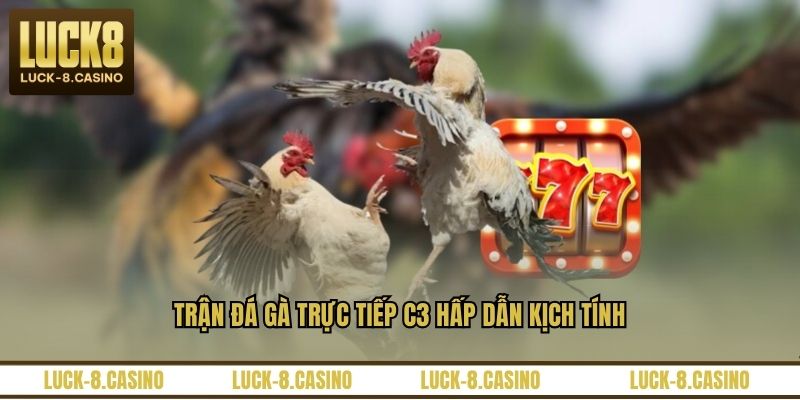 Đá Gà Trực Tiếp C3 – Trải Nghiệm Xem Đá Gà Đỉnh Cao - XOVIN Đá Gà Trực Tiếp C3 – Trải Nghiệm Xem Đá Gà Đỉnh Cao - XOVIN