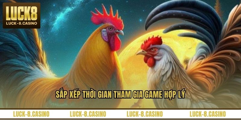 Đá Gà Trực Tiếp C3 – Trải Nghiệm Xem Đá Gà Đỉnh Cao - XOVIN Đá Gà Trực Tiếp C3 – Trải Nghiệm Xem Đá Gà Đỉnh Cao - XOVIN