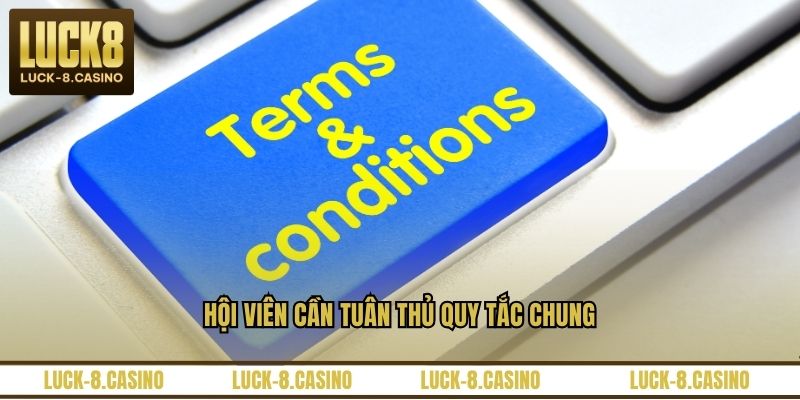 Điều Khoản Điều Kiện - Những Quy Định Tại Trang Web - XOVIN Điều Khoản Điều Kiện - Những Quy Định Tại Trang Web - XOVIN