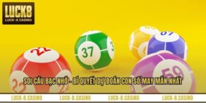 Xổ Số LUCK8 - Đổi Đời Cùng Những Vòng Quay May Mắn - XOVIN