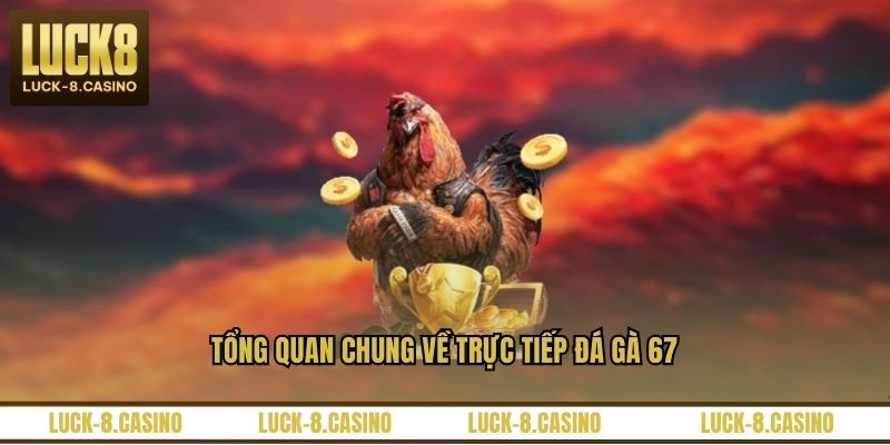 Trực Tiếp Đá Gà 67 – Nền Tảng Xem Đá Gà Hấp Dẫn Nhất - XOVIN Trực Tiếp Đá Gà 67 – Nền Tảng Xem Đá Gà Hấp Dẫn Nhất - XOVIN